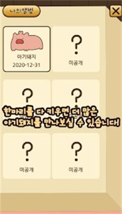 口袋宠物猪最新版下载v1.0.21010603_wishdown.com 口袋宠物猪最新版下载v1.0.21010603_wishdown.com