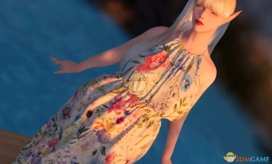 《上古卷轴5:天际重制版》FP碎花连衣裙MOD_wishdown.com 《上古卷轴5:天际重制版》FP碎花连衣裙MOD_wishdown.com