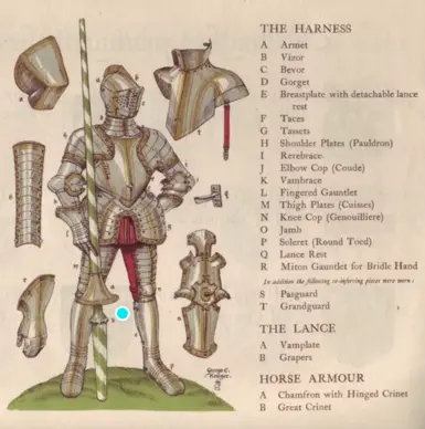 《上古卷轴4:湮灭重制版》桑布卡的盔甲大修MOD_wishdown.com 《上古卷轴4:湮灭重制版》桑布卡的盔甲大修MOD_wishdown.com