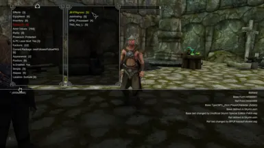 《上古卷轴5:天际重制版》追随者对制作的反应MOD_wishdown.com 《上古卷轴5:天际重制版》追随者对制作的反应MOD_wishdown.com