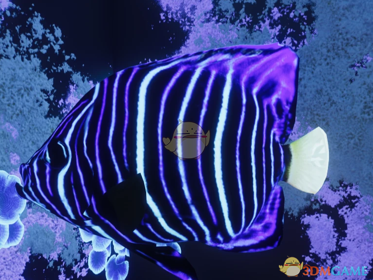 《动物园之星》新物种蓝环神仙鱼MOD_wishdown.com 《动物园之星》新物种蓝环神仙鱼MOD_wishdown.com