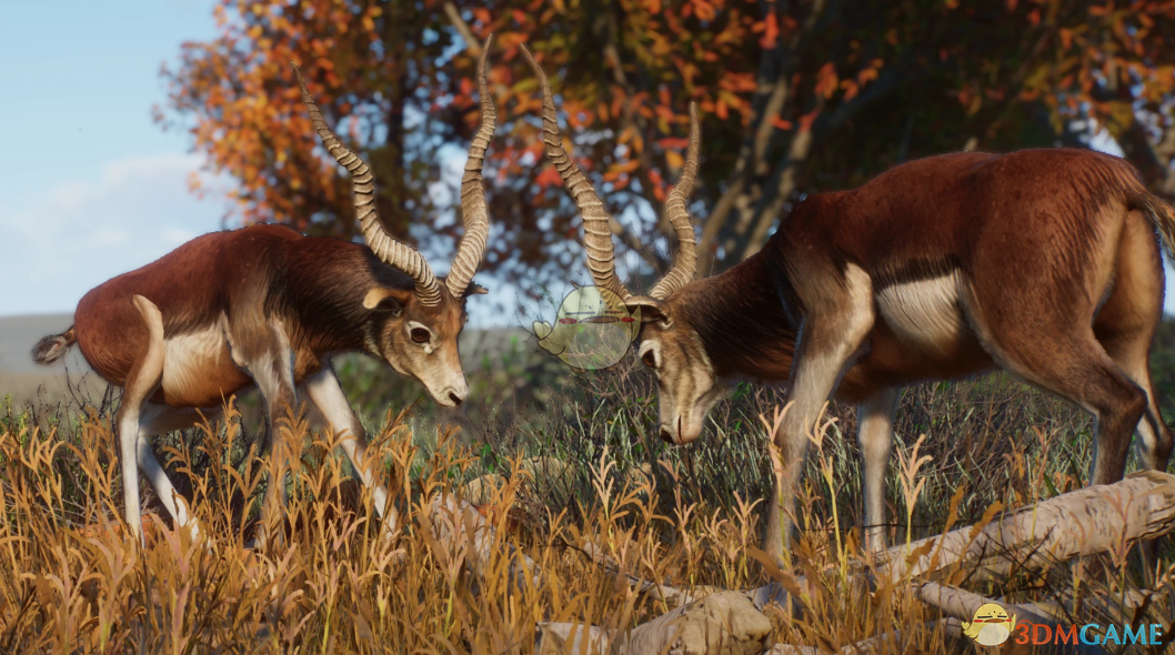 《动物园之星》新物种扭角羚羊MOD_wishdown.com 《动物园之星》新物种扭角羚羊MOD_wishdown.com
