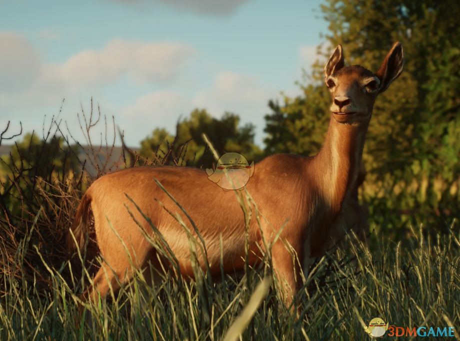 《动物园之星》新物种扭角羚羊MOD_wishdown.com 《动物园之星》新物种扭角羚羊MOD_wishdown.com