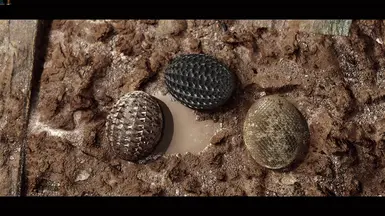 《上古卷轴5:天际重制版》龙蛋外观MOD_wishdown.com 《上古卷轴5:天际重制版》龙蛋外观MOD_wishdown.com