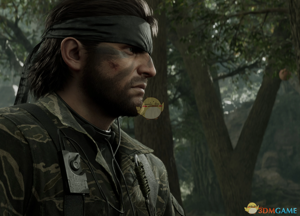 《合金装备3:重制版》引擎调整MOD_wishdown.com 《合金装备3:重制版》引擎调整MOD_wishdown.com