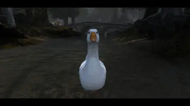 《上古卷轴5:天际重制版》更准确的农场鹅MOD_wishdown.com 《上古卷轴5:天际重制版》更准确的农场鹅MOD_wishdown.com