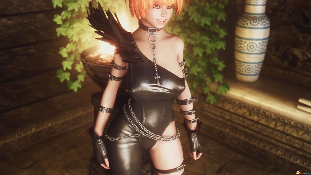 《上古卷轴5:天际重制版》女渡鸦套装MOD_wishdown.com 《上古卷轴5:天际重制版》女渡鸦套装MOD_wishdown.com