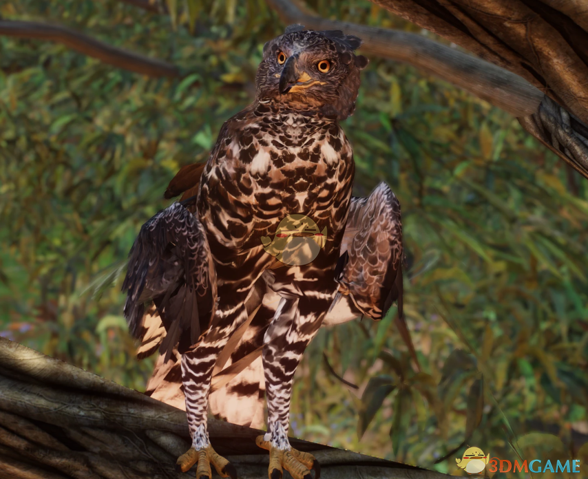 《动物园之星》新物种冠鹰雕MOD_wishdown.com 《动物园之星》新物种冠鹰雕MOD_wishdown.com