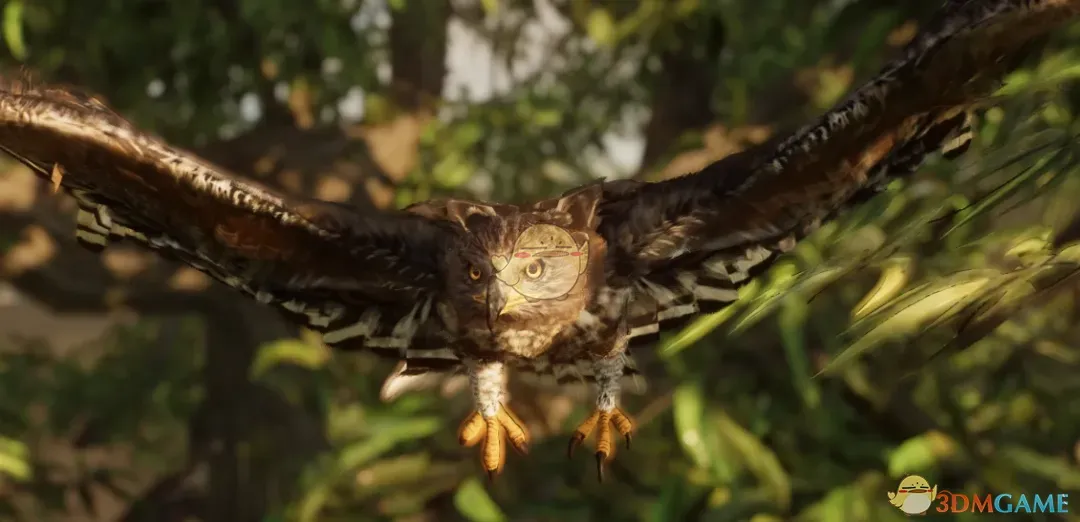 《动物园之星》新物种冠鹰雕MOD_wishdown.com 《动物园之星》新物种冠鹰雕MOD_wishdown.com