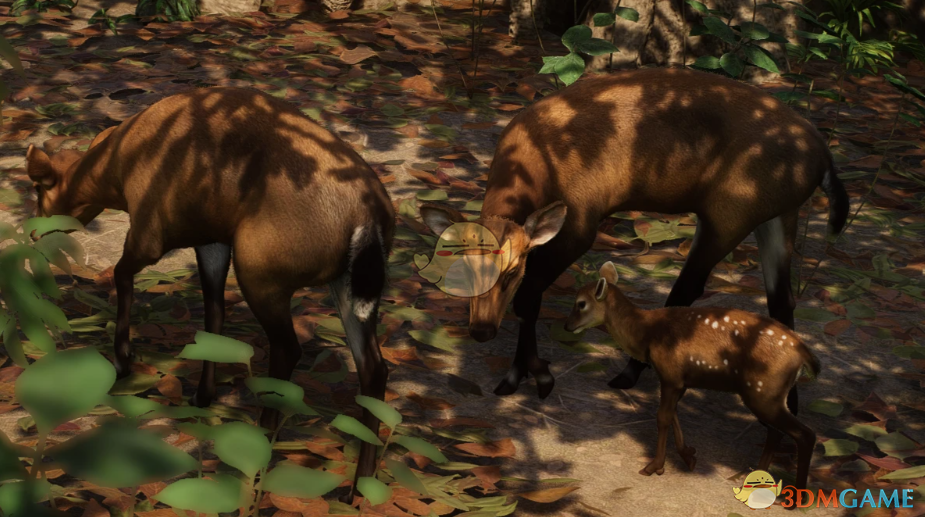 《动物园之星》新物种越南大麂MOD_wishdown.com 《动物园之星》新物种越南大麂MOD_wishdown.com