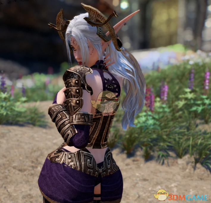 《上古卷轴5:天际重制版》泡泡糖矮人盔甲MOD_wishdown.com 《上古卷轴5:天际重制版》泡泡糖矮人盔甲MOD_wishdown.com