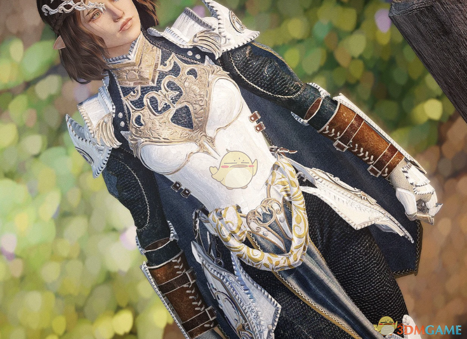 《上古卷轴5:天际重制版》木卫四协议装甲MOD_wishdown.com 《上古卷轴5:天际重制版》木卫四协议装甲MOD_wishdown.com