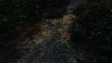 《上古卷轴5:天际重制版》北部道路MOD_wishdown.com 《上古卷轴5:天际重制版》北部道路MOD_wishdown.com