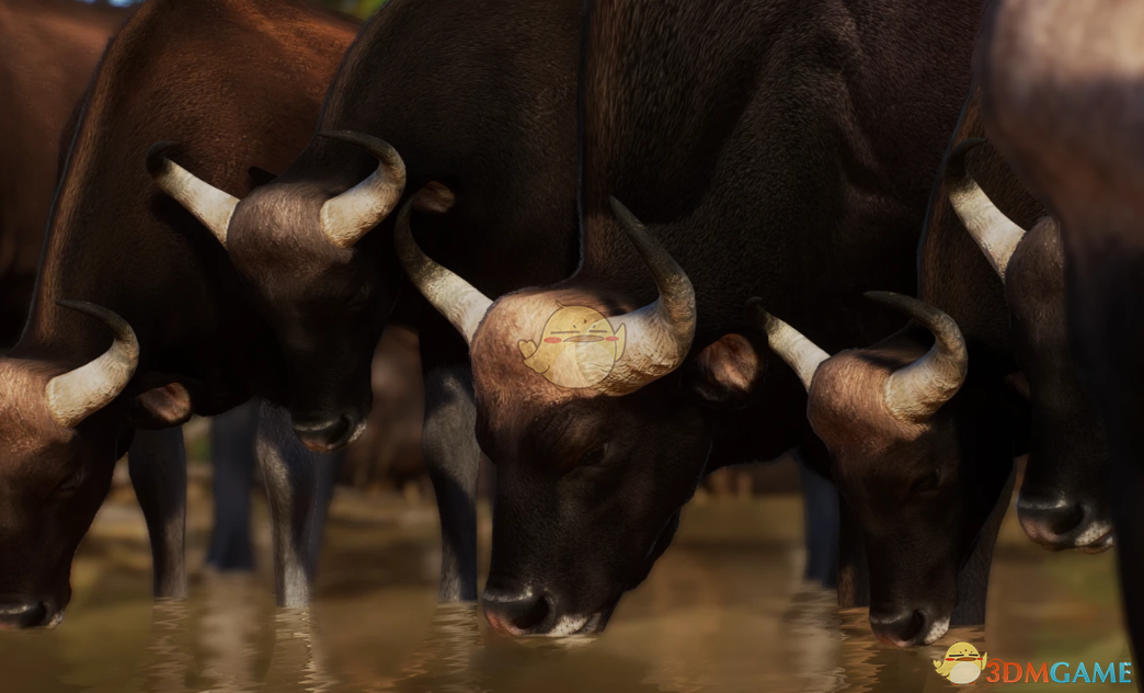 《动物园之星》新物种印度野牛MOD_wishdown.com 《动物园之星》新物种印度野牛MOD_wishdown.com