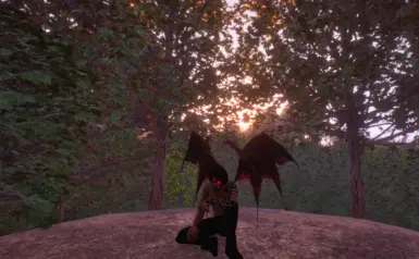 《上古卷轴4:湮灭重制版》宇宙运动MOD_wishdown.com 《上古卷轴4:湮灭重制版》宇宙运动MOD_wishdown.com