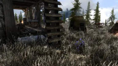 《上古卷轴5:天际重制版》大沼泽地家园MOD_wishdown.com 《上古卷轴5:天际重制版》大沼泽地家园MOD_wishdown.com