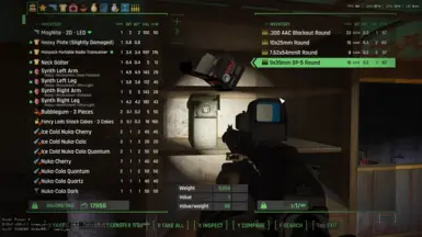 《辐射4》武器IN弹药箱MOD_wishdown.com 《辐射4》武器IN弹药箱MOD_wishdown.com