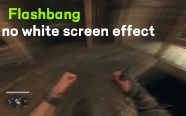 《消逝的光芒:困兽》去除闪光弹的白屏效果MOD_wishdown.com 《消逝的光芒:困兽》去除闪光弹的白屏效果MOD_wishdown.com