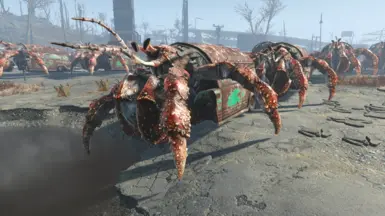 《辐射4》汽车改装为寄居蟹MOD_wishdown.com 《辐射4》汽车改装为寄居蟹MOD_wishdown.com