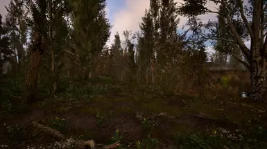 《潜行者2:切尔诺贝利之心》减少枯死或干燥的树木MOD_wishdown.com 《潜行者2:切尔诺贝利之心》减少枯死或干燥的树木MOD_wishdown.com