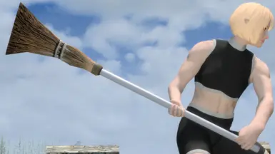 《上古卷轴5:重制版》钢扫帚MOD_wishdown.com 《上古卷轴5:重制版》钢扫帚MOD_wishdown.com