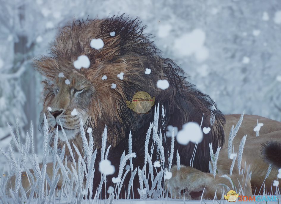 《动物园之星》新物种巴巴里狮子MOD_wishdown.com 《动物园之星》新物种巴巴里狮子MOD_wishdown.com