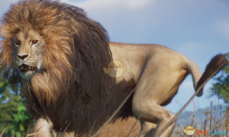 《动物园之星》新物种巴巴里狮子MOD_wishdown.com 《动物园之星》新物种巴巴里狮子MOD_wishdown.com