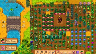 《星露谷物语》更好的巨型作物MOD_wishdown.com 《星露谷物语》更好的巨型作物MOD_wishdown.com