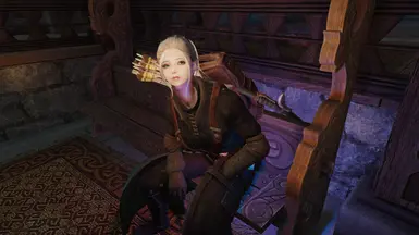 《上古卷轴5:天际重制版》更多为奥里的箭MOD_wishdown.com 《上古卷轴5:天际重制版》更多为奥里的箭MOD_wishdown.com