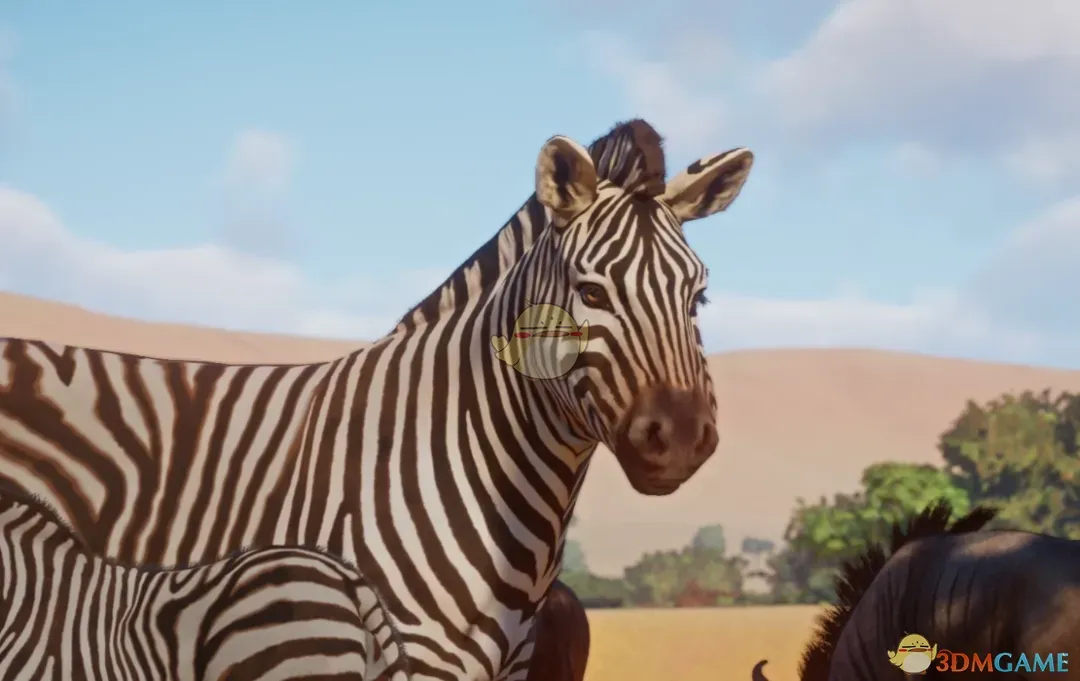 《动物园之星》新物种开普山斑马MOD_wishdown.com 《动物园之星》新物种开普山斑马MOD_wishdown.com