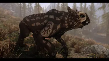 《上古卷轴5:天际重制版》猫头鹰熊MOD_wishdown.com 《上古卷轴5:天际重制版》猫头鹰熊MOD_wishdown.com