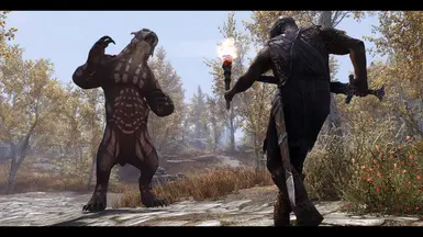 《上古卷轴5:天际重制版》猫头鹰熊MOD_wishdown.com 《上古卷轴5:天际重制版》猫头鹰熊MOD_wishdown.com