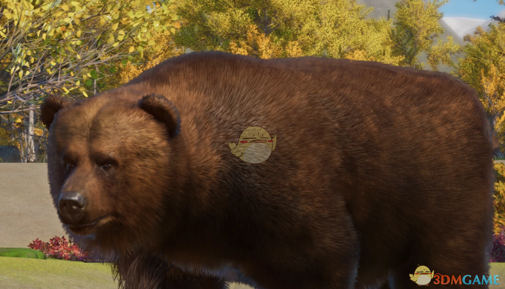 《动物园之星》新物种堪察加棕熊MOD_wishdown.com 《动物园之星》新物种堪察加棕熊MOD_wishdown.com