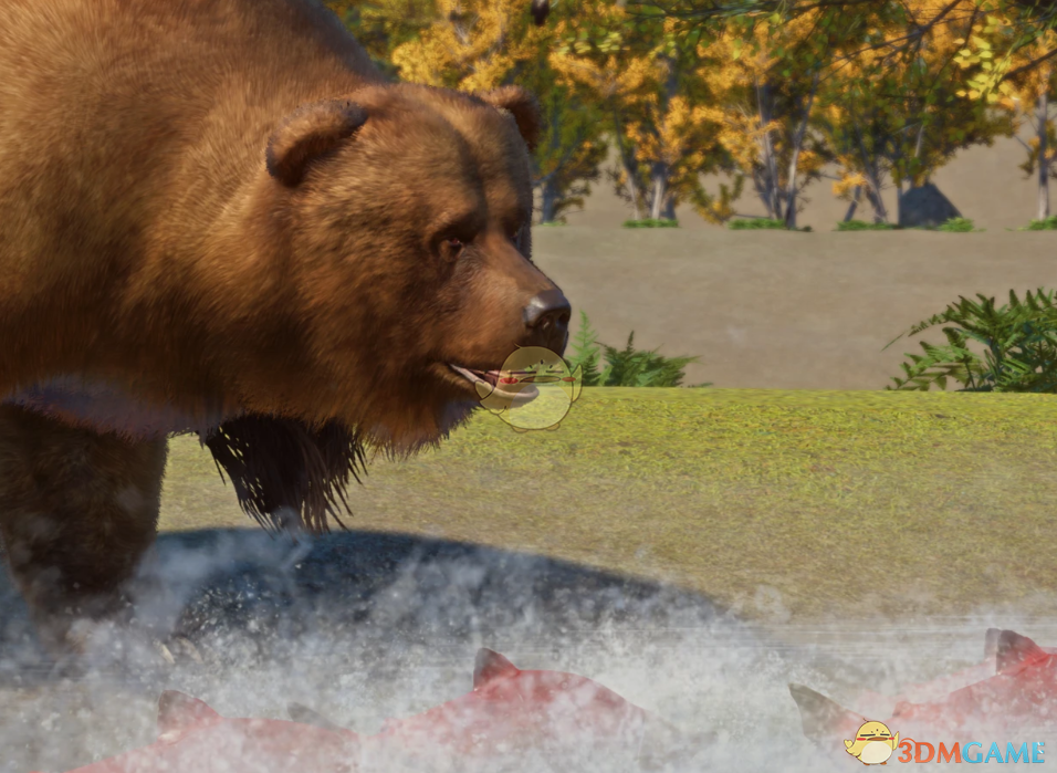 《动物园之星》新物种堪察加棕熊MOD_wishdown.com 《动物园之星》新物种堪察加棕熊MOD_wishdown.com