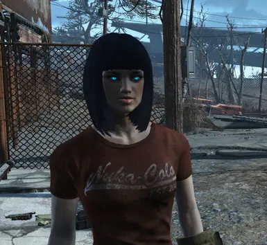 《辐射4》机械人风格发光的眼睛MOD_wishdown.com 《辐射4》机械人风格发光的眼睛MOD_wishdown.com