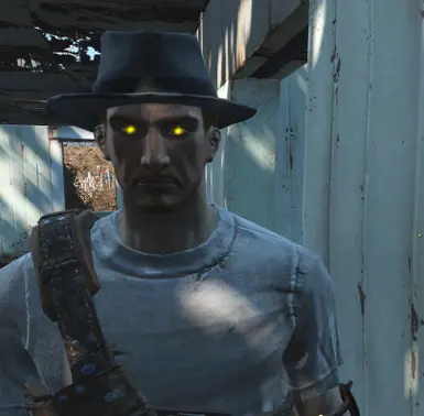 《辐射4》机械人风格发光的眼睛MOD_wishdown.com 《辐射4》机械人风格发光的眼睛MOD_wishdown.com