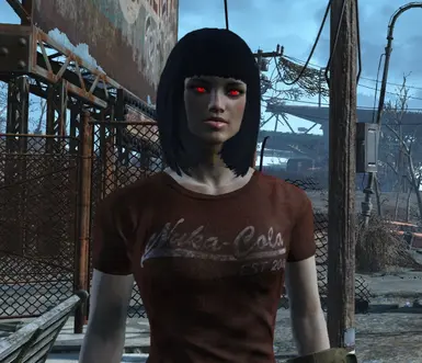 《辐射4》机械人风格发光的眼睛MOD_wishdown.com 《辐射4》机械人风格发光的眼睛MOD_wishdown.com