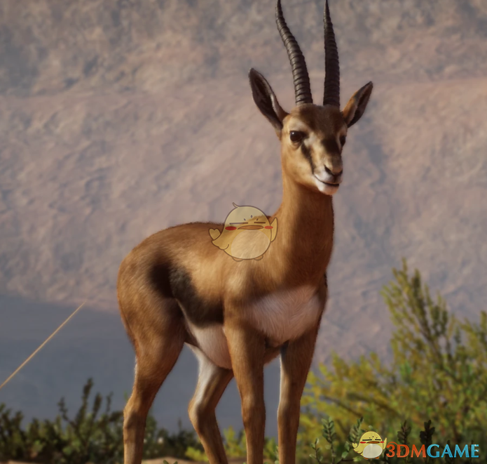 《动物园之星》新物种居氏瞪羚MOD_wishdown.com 《动物园之星》新物种居氏瞪羚MOD_wishdown.com
