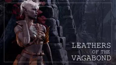 《博德之门3》流浪者的皮革MOD_wishdown.com 《博德之门3》流浪者的皮革MOD_wishdown.com