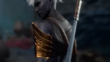 《博德之门3》流浪者的皮革MOD_wishdown.com 《博德之门3》流浪者的皮革MOD_wishdown.com