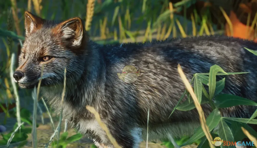 《动物园之星》新物种达尔文狐MOD_wishdown.com 《动物园之星》新物种达尔文狐MOD_wishdown.com