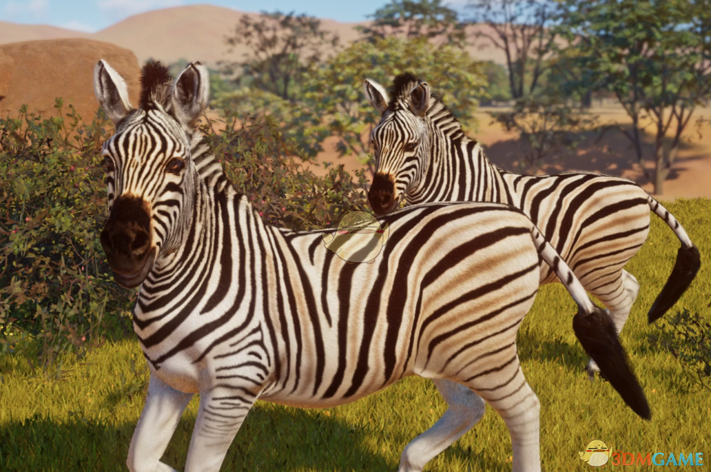 《动物园之星》新物种巴切尔斑马MOD_wishdown.com 《动物园之星》新物种巴切尔斑马MOD_wishdown.com