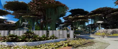 《星空》卢克索的花丛MOD_wishdown.com 《星空》卢克索的花丛MOD_wishdown.com