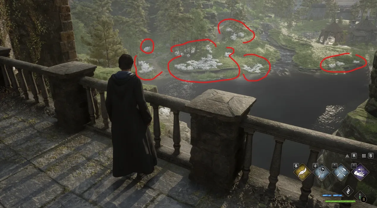 《霍格沃茨之遗》白色灌木修复MOD_wishdown.com 《霍格沃茨之遗》白色灌木修复MOD_wishdown.com