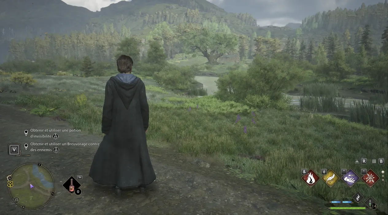 《霍格沃茨之遗》白色灌木修复MOD_wishdown.com 《霍格沃茨之遗》白色灌木修复MOD_wishdown.com