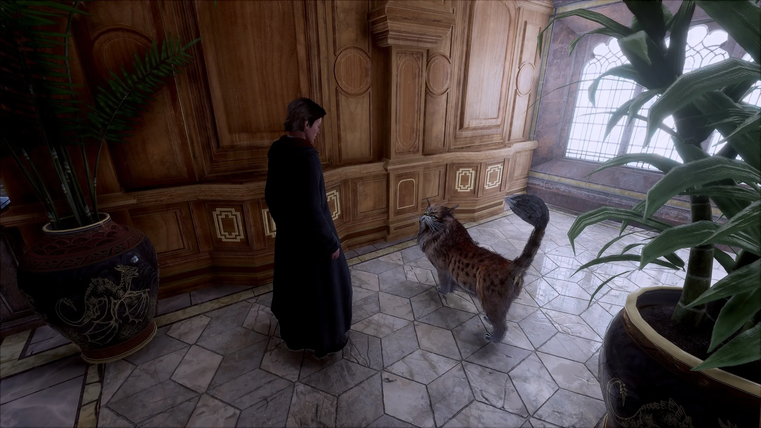 《霍格沃茨之遗》缅因猫MOD_wishdown.com 《霍格沃茨之遗》缅因猫MOD_wishdown.com