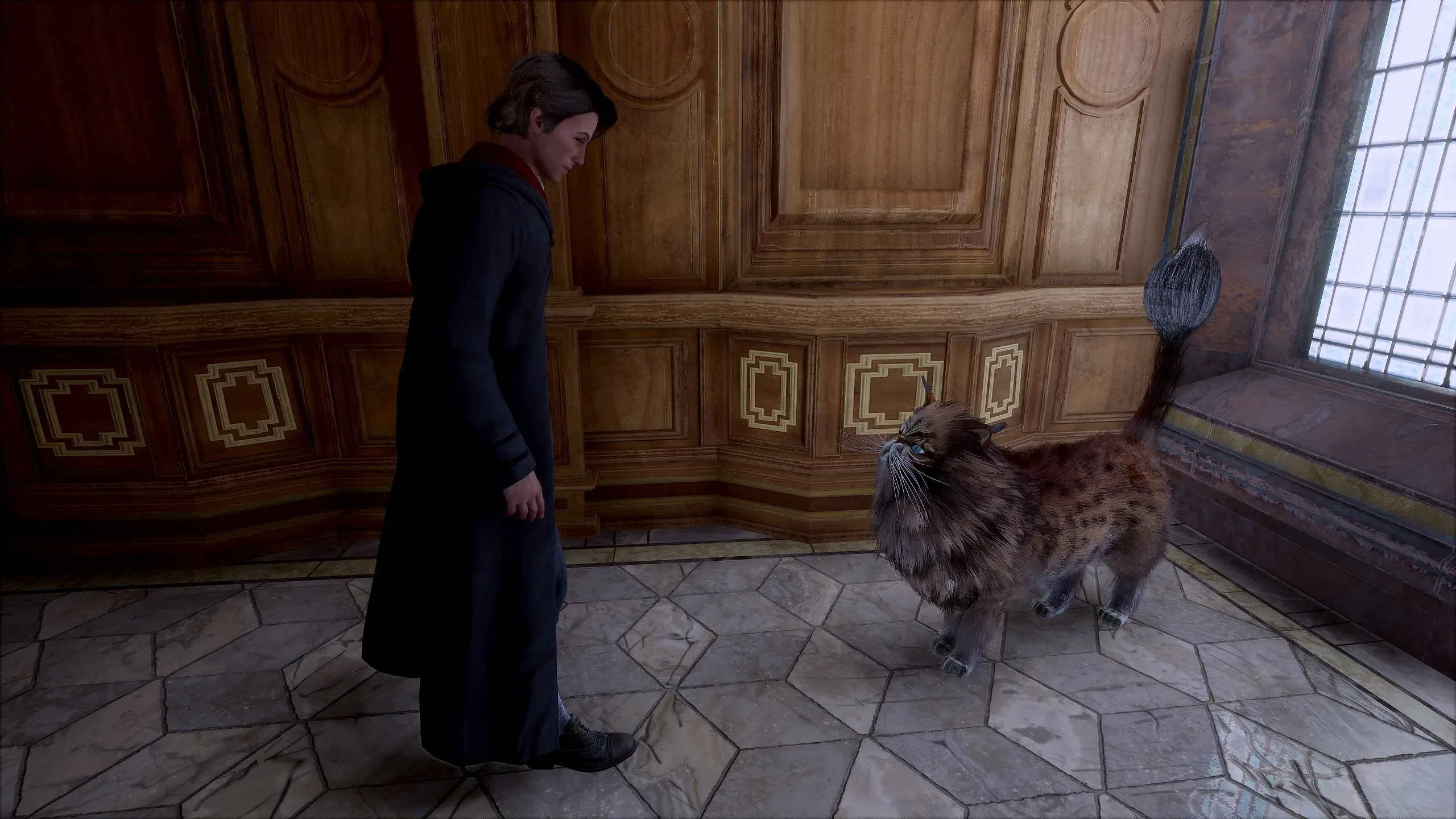 《霍格沃茨之遗》缅因猫MOD_wishdown.com 《霍格沃茨之遗》缅因猫MOD_wishdown.com