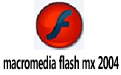 macromedia flash mx 2004  ƽ棨ڸкţ