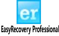 EasyRecovery Professional(Ӳݻָ)  V11.1 רҵ