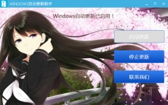WindowsԶ  v1.0Ѱ
